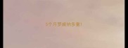 5个月罗威纳多重