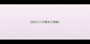 边牧三个月喂多少狗粮