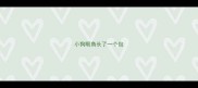 小狗眼角长了一个包