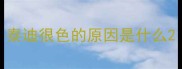 泰迪很色的原因是什么