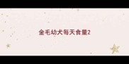 金毛幼犬每天食量