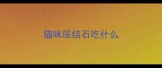猫咪尿结石吃什么