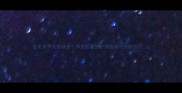 金毛关节炎症状全养宠必看的护理指南与预防技巧
