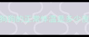 狗狗的正常体温是多少度