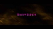 雪纳瑞串泰迪毛细