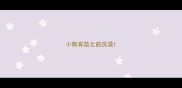 小狗育苗之前洗澡