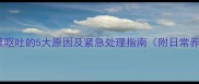 边牧犬频繁呕吐的5大原因及紧急处理指南附日常养护要点