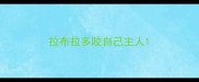拉布拉多咬自己主人