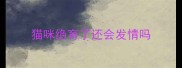 猫咪绝育了还会发情吗