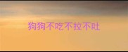 狗狗不吃不拉不吐