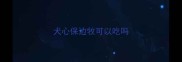 犬心保边牧可以吃吗