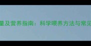 边牧5个月幼犬每日喂食量及营养指南科学喂养方法与常见误区附精准换算表