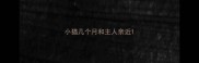 小猫几个月和主人亲近