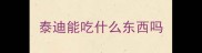 泰迪能吃什么东西吗
