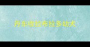丹东收拉布拉多幼犬