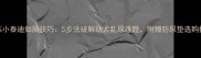 训练小泰迪如厕技巧5步法破解幼犬乱尿难题附赠防尿垫选购指南