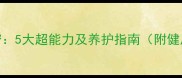 小狗鼻子秘密5大超能力及养护指南附健康监测技巧