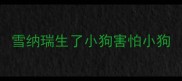 雪纳瑞生了小狗害怕小狗