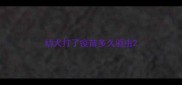 幼犬打了疫苗多久驱虫