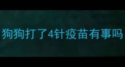 狗狗打了4针疫苗有事吗