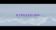 哈士奇幼犬关在小房间