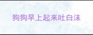 狗狗早上起来吐白沫