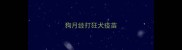 狗月经打狂犬疫苗