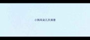 小狗耳朵几天清理