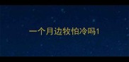 一个月边牧怕冷吗