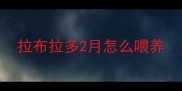 拉布拉多2月怎么喂养
