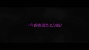 一年的泰迪怎么训练