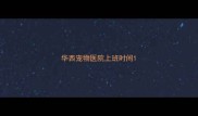 华西宠物医院上班时间