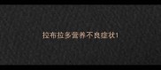 拉布拉多营养不良症状