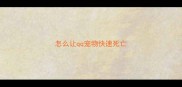 怎么让qq宠物快速死亡