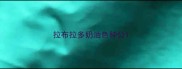 拉布拉多奶油色种公