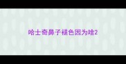 哈士奇鼻子褪色因为啥