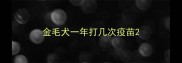 金毛犬一年打几次疫苗