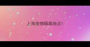 上海宠物隔离地点