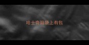 哈士奇脑袋上有包