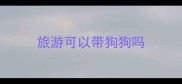 旅游可以带狗狗吗