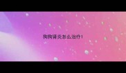 狗狗肾炎怎么治疗