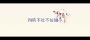 狗狗不吐不拉细小
