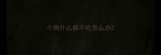 小狗什么都不吃怎么办