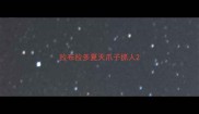 拉布拉多夏天爪子抓人