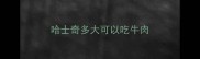 哈士奇多大可以吃牛肉