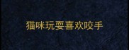 猫咪玩耍喜欢咬手
