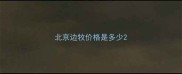 北京边牧价格是多少