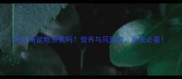 哈士奇能吃香蕉吗营养与风险全养宠必看