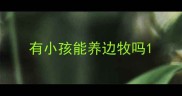 有小孩能养边牧吗