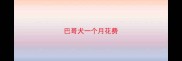 巴哥犬一个月花费